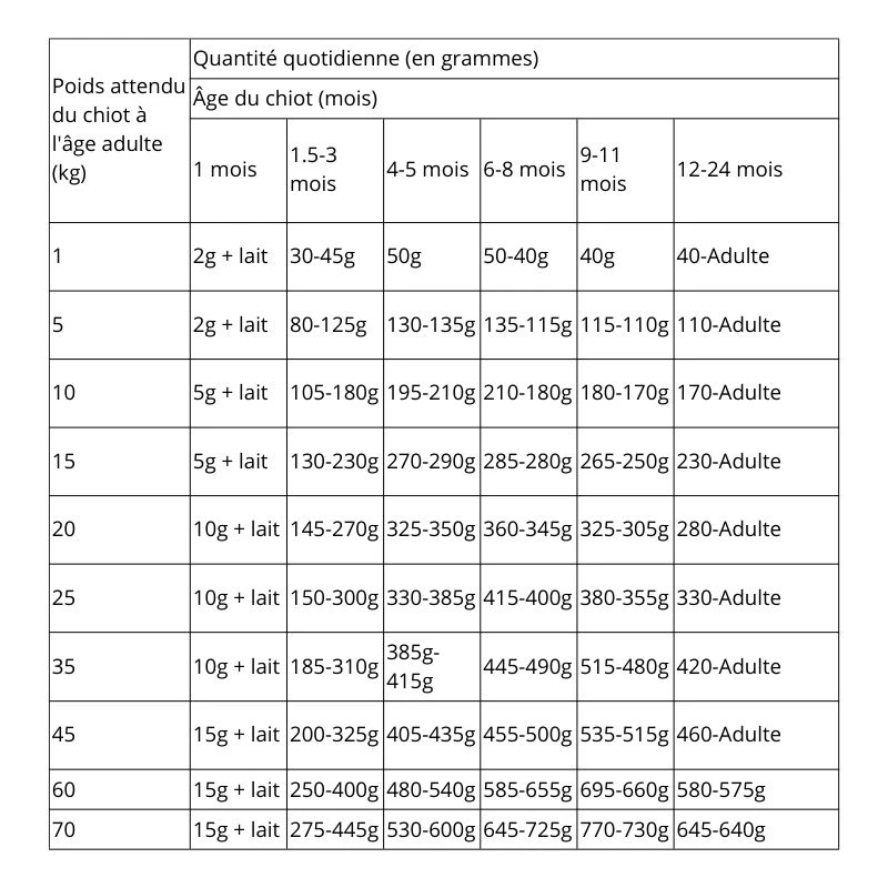 Pro Plan Chiot Medium à l’Agneau – 12kg – Image 3