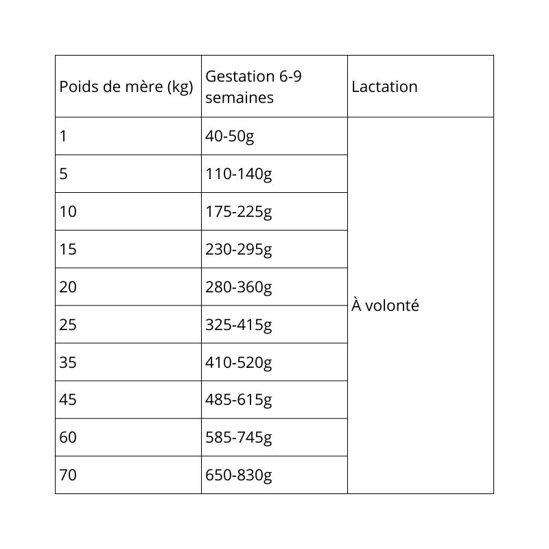 Pro Plan Chiot Medium à l’Agneau – 12kg – Image 4