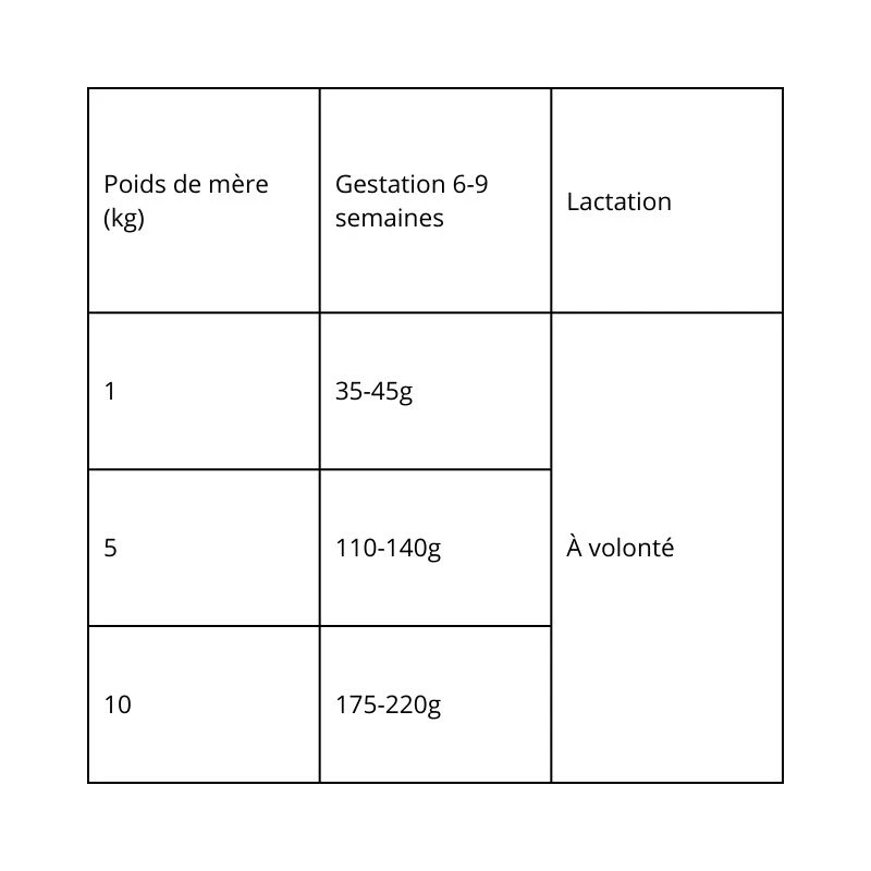 Pro Plan Chiot Small & Mini au Saumon – 3kg – Image 4