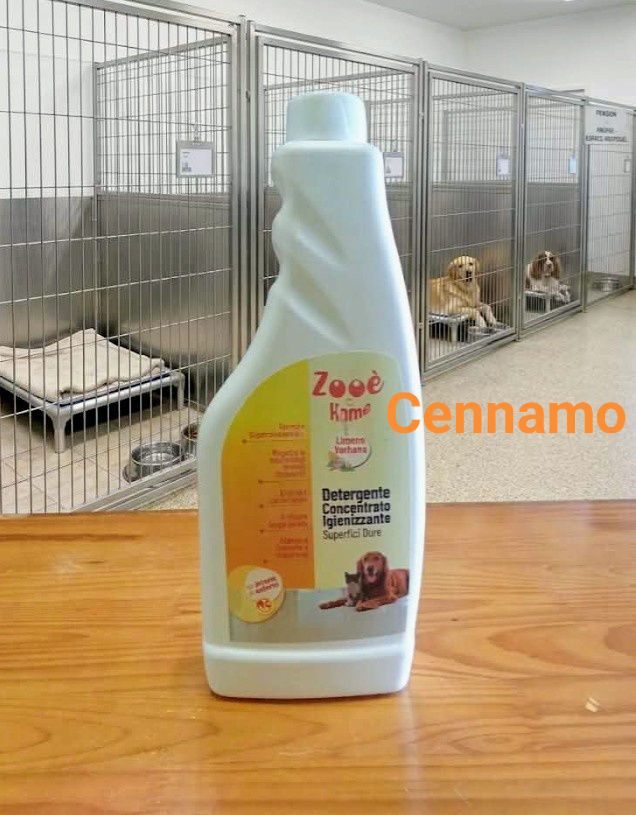 Zooé Home – Nettoyant Désinfectant Professionnel