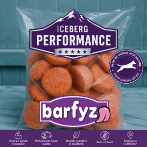 Iceberg Performance Poulet – Repas BARF Premium complet pour chien (30 x 250 g)